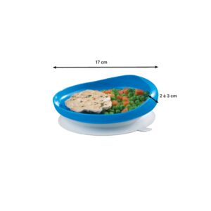 Assiette à rebord sur ventouse