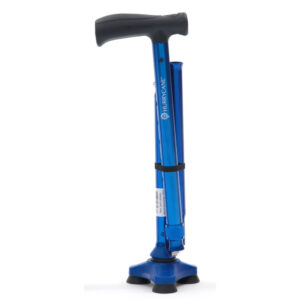 Canne stabilicane