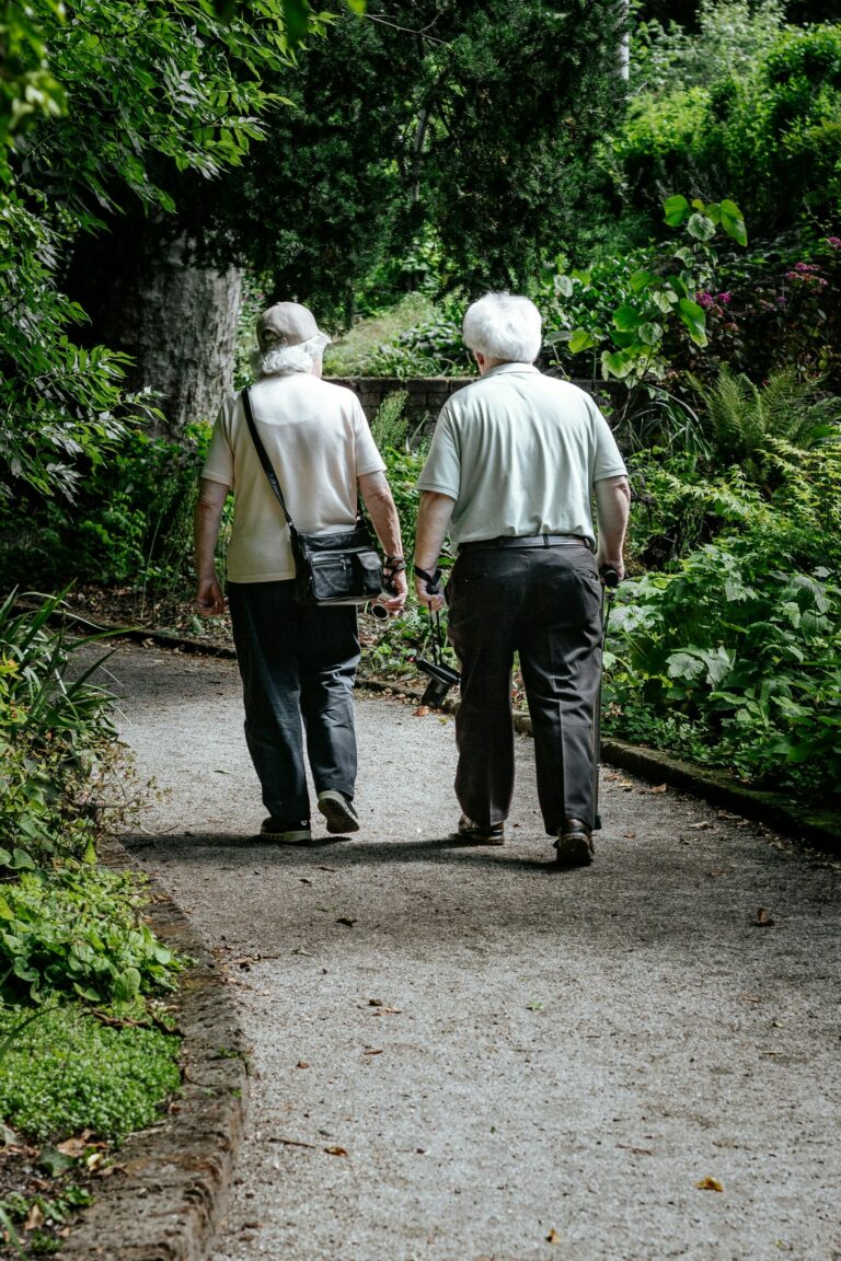 dispositifs d aide à la marche seniors canne déambulateur rollator